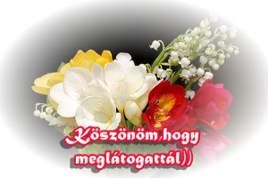 000160_koszonom___hogy_meglatogattal