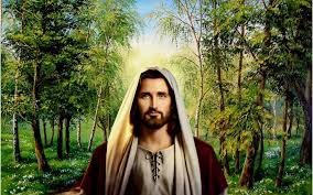 images (1)